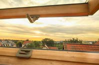 rated Coalbrookdale roof window companies